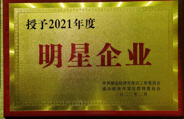 2021年度明星企業(yè)